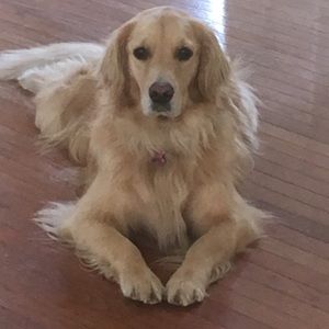 Meet your Posher, Bridgette